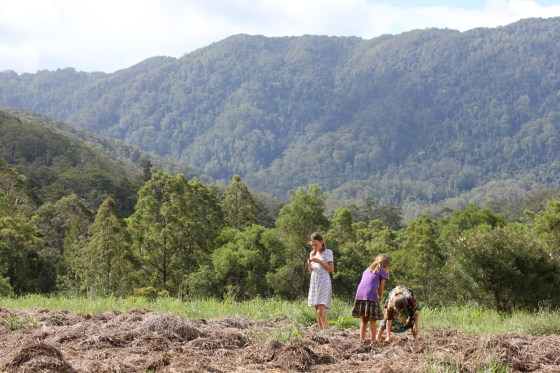 the beauty of the mountains
