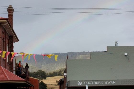 Southern Swanhomeopathics and lotions and potions