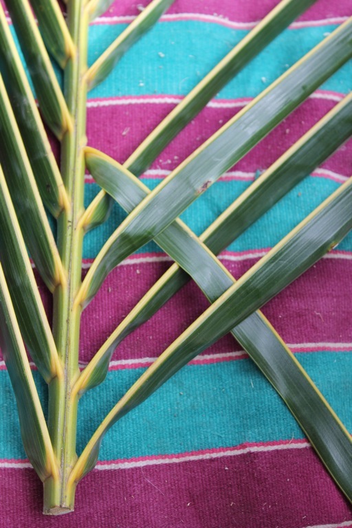 Coconut Palm Weaving {dilly bag, fruit bowl, taro basket} | RosaLindenTree